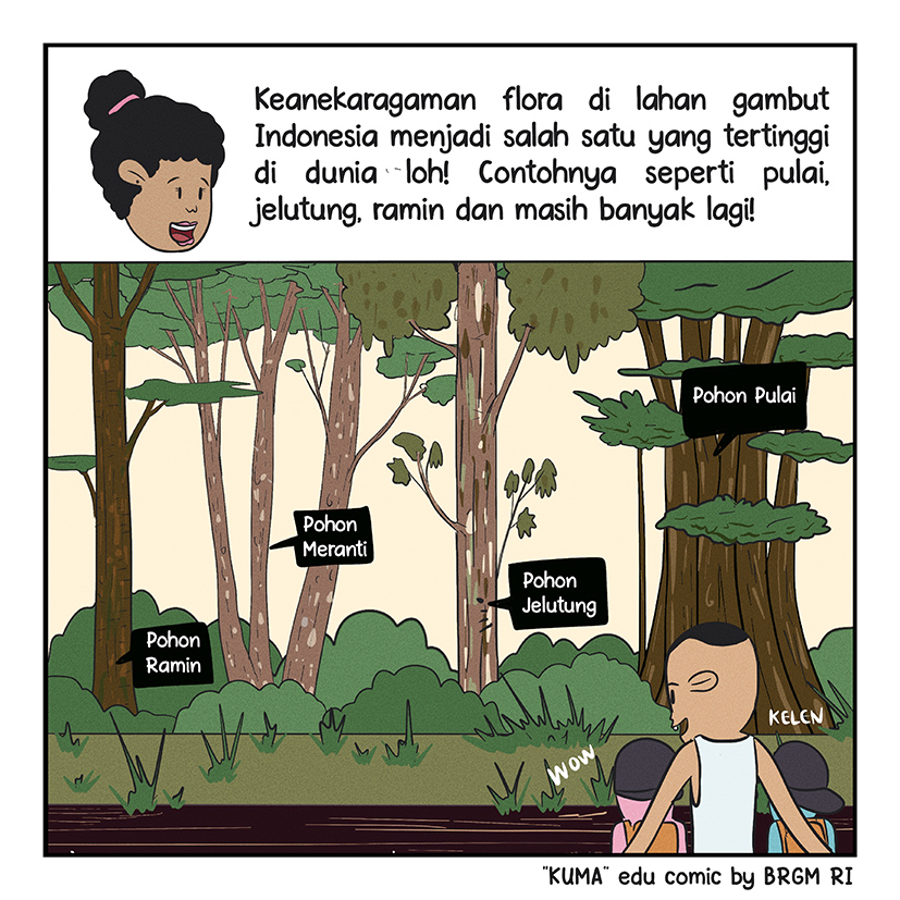 Image 1-9